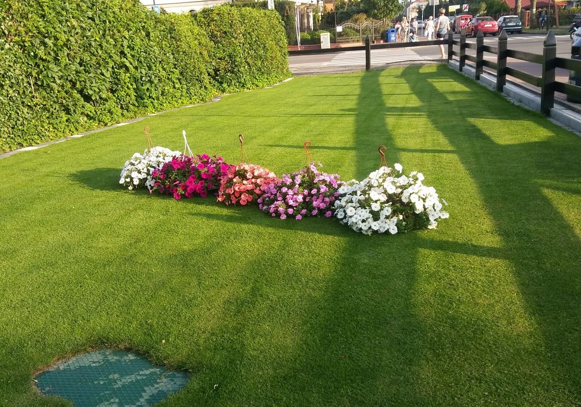 Pokoje Gościnne Zawisza Łeba