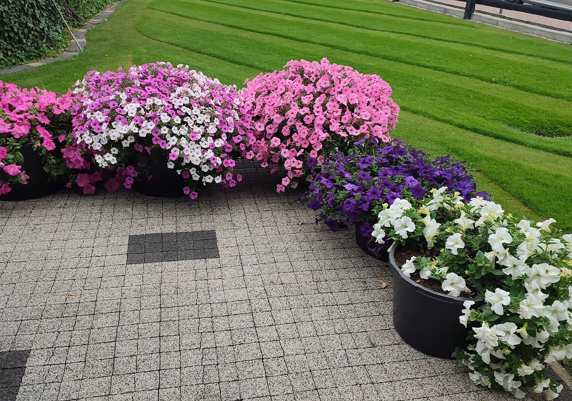 Pokoje Zawisza w Łebie