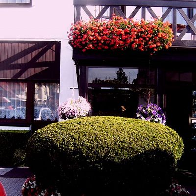 Obiekt, położenie i zieleń