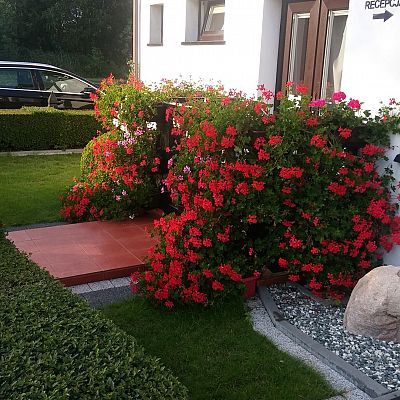 Obiekt, położenie i zieleń