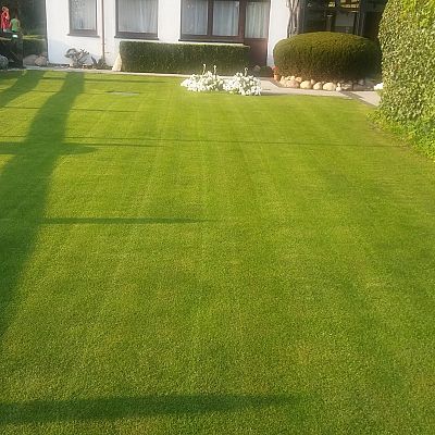 Obiekt, położenie i zieleń