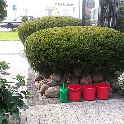 Obiekt, położenie i zieleń