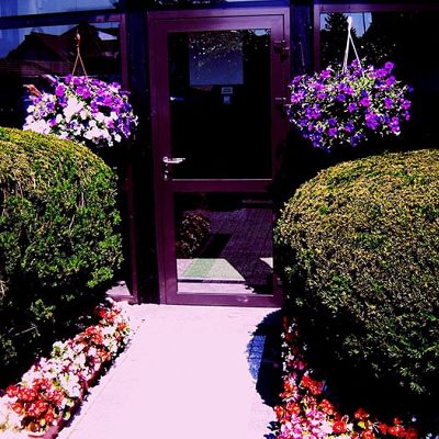 Obiekt, położenie i zieleń