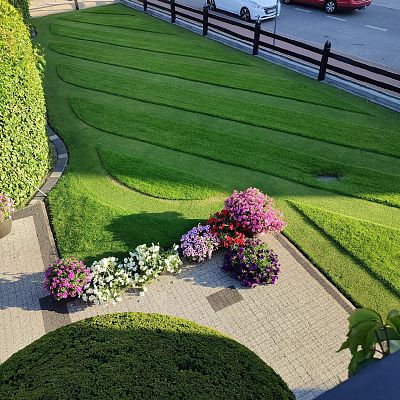 Obiekt, położenie i zieleń