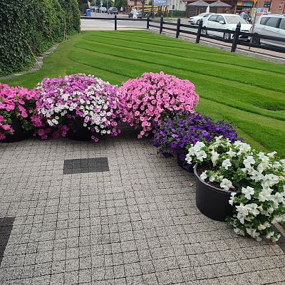 Obiekt, położenie i zieleń