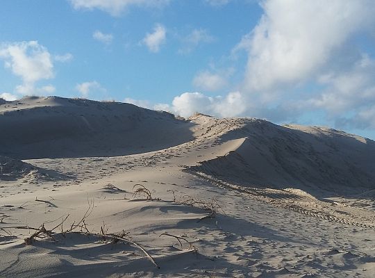 Koło falochronu zachod. wydma coraz większa