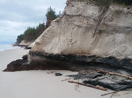 Przyroda sama zawsze piękna