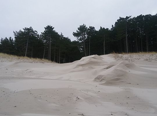 Wydmy zasypują drogę