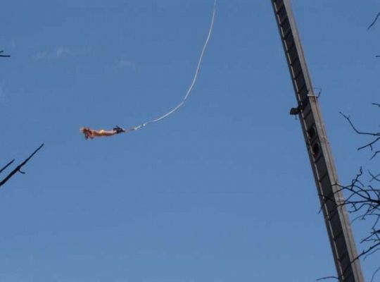 Bungy