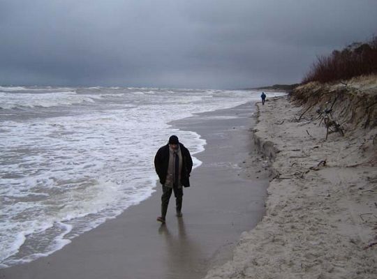 Poszukiwacze pieniędzy