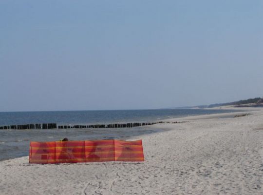 Pierwsi plażowicze